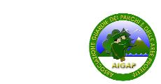 ADESIVO